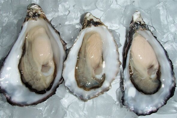 Oysters improve men's health