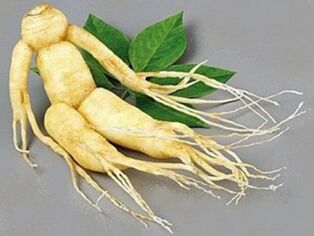 ginseng root for strength