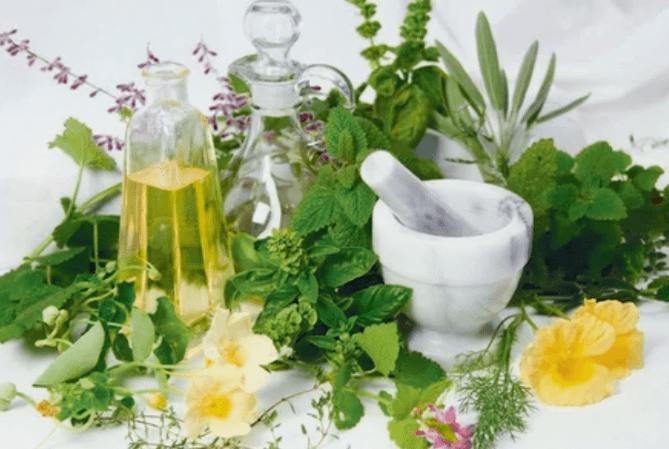 Herbs for potential in men